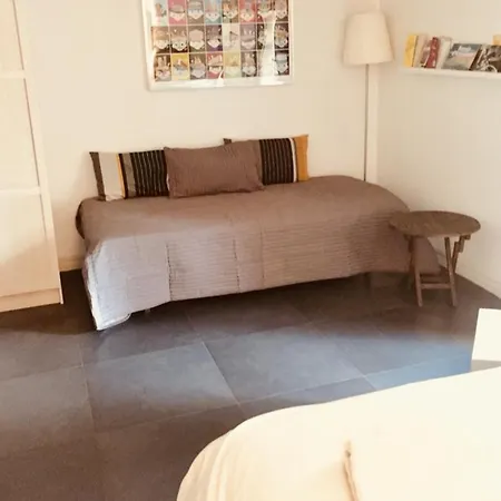 Logement Independant Sur Jardin, Hopital Pellegrin Bordeaux